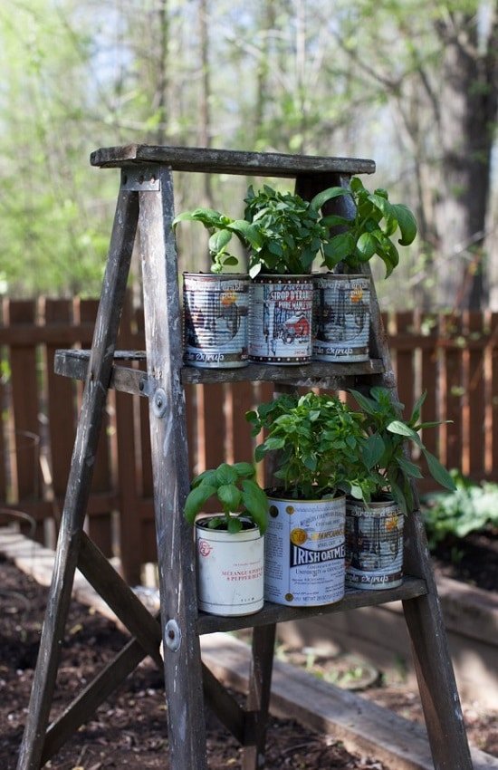 51 Υπέροχες ιδέες για κονσέρβες DIY για τον κήπο